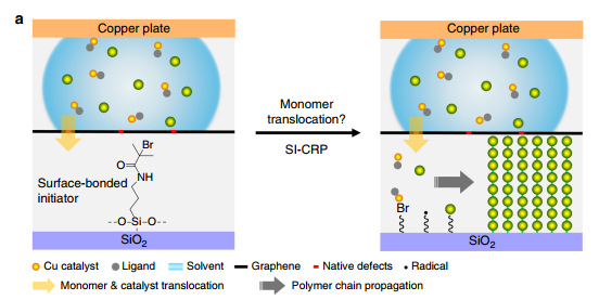 Articles Interface Functional Polymer Materials Interface Polymers Nimte Ac Cn